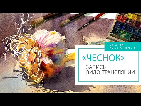 Видео: Как рисовать акварелью натюрморт "Чеснок". Запись трансляции. Мастер класс. Техника акварели.