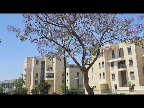 Видео: Красивые улицы Израиля.Новостройки и перспектива развития земли обетованной.