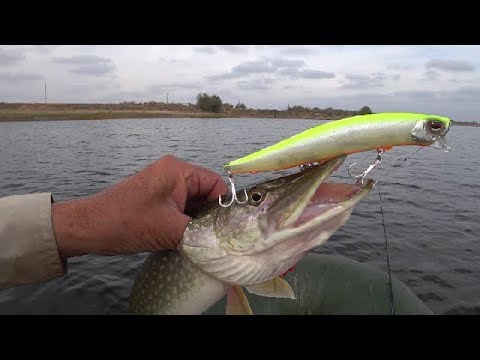 Видео: DAIWA Morethan Monsterwake 156F и щуки. Pike Fishing.