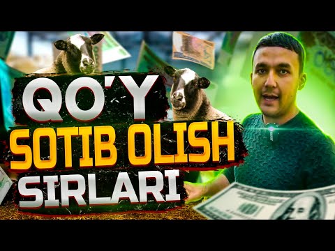 Видео: Қўй сотиб олиш сирлари (4к video)