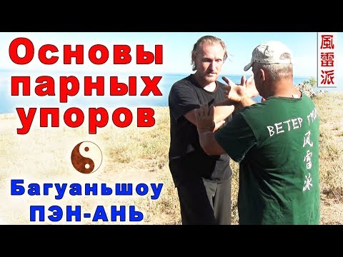 Видео: Основы парных упоров. Багуаньшоу ПЭН-АНЬ. Тайцзи Ветер-Гром