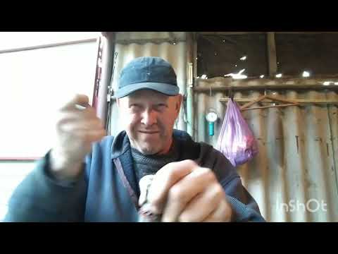 Видео: гараж 61 глухих разборка болгарка.