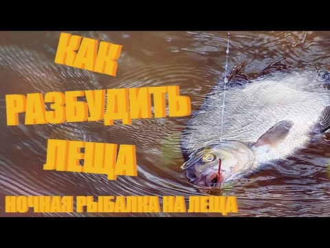 Видео: НАСАДКИ. ПУФЫ или ПЕНОПЛАСТ. Секреты рыбалки. Льва Толстого. Кукушка. когда ловить леща и на что?