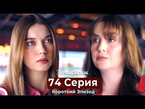 Видео: Зимородок 74 Cерия (Короткий Эпизод) (Русский дубляж)