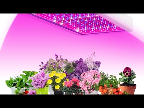 Видео: Нужно менять лампы на стеллаже, вопрос какие выбрать?