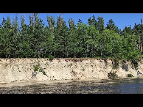 Видео: Сейм Десна 21 5