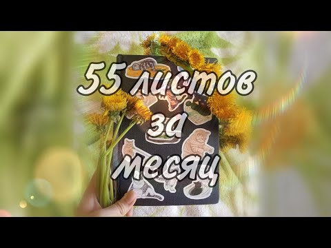Видео: ✨🌻🌿Заполняю 55 листов за месяц🌿🌻✨Челендж🌿🌻✨
