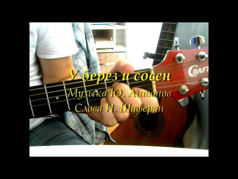 Видео: У берез и сосен (Ю. Антонов) Текст, аккорды, разбор