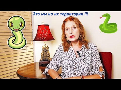 Видео: Как в США относятся к животным? Ловят рыбу и всю отпускают!