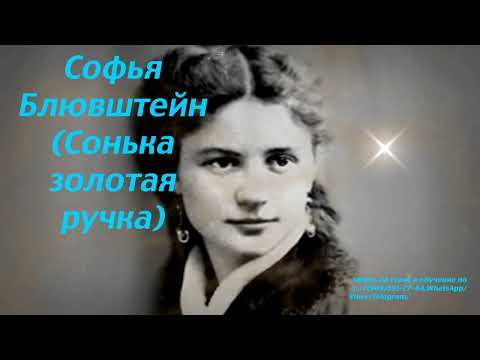 Видео: Разговор с душой Софьей  Блювштейн.Регрессивный гипноз.21.01.2024