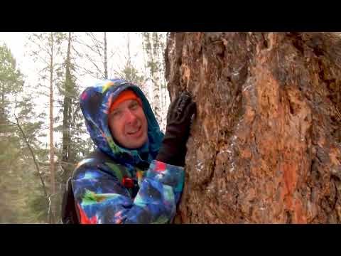 Видео: Если дома не сидится. Северка 26.10.2023