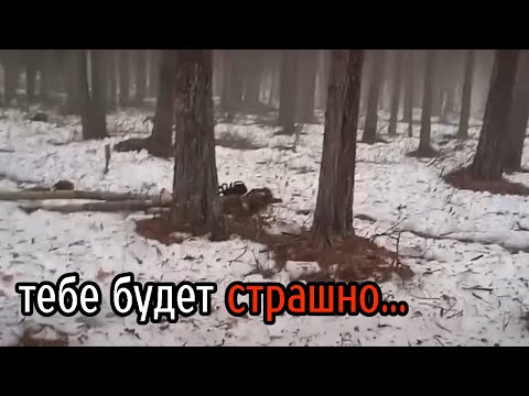 Видео: Страшные Видео МЕГА Топ №4