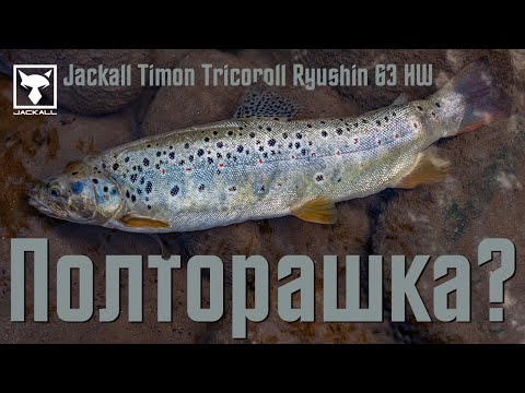 Видео: Форель Кавказа