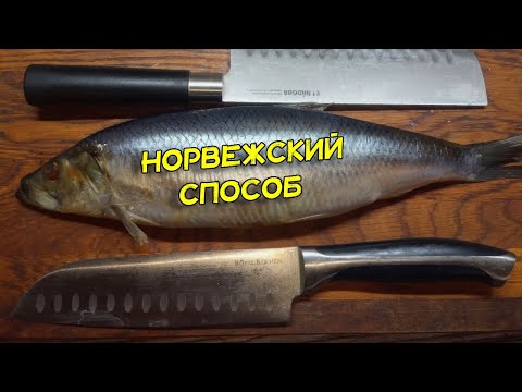 Видео: Норвежец показал, как они быстро чистят селедку. Костей не остается и филе не рвётся