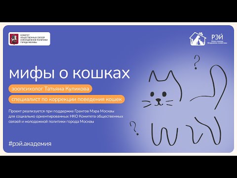 Видео: Мифы о кошках