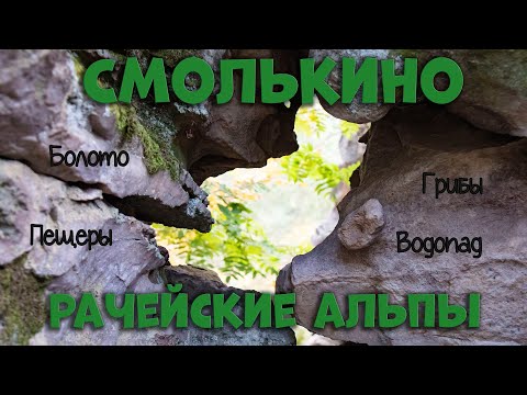 Видео: Большая прогулка по окрестностям Смолькино| Черные грузди| Болото с клюквой| Гремячие водопады