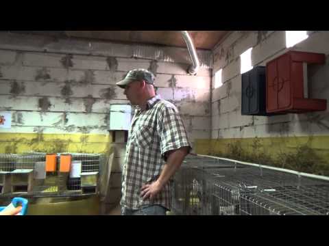 Видео: Поликарбанат для слива отходов кроликов