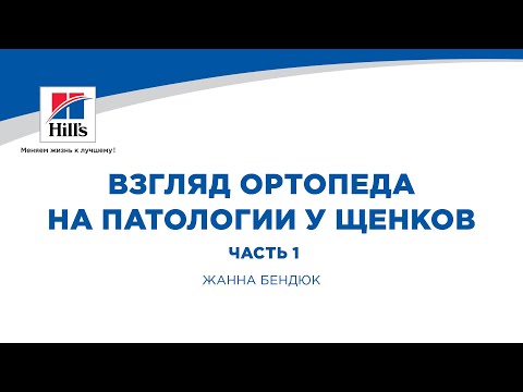 Видео: Вебинар на тему: «Взгляд ортопеда на патологии у щенков. Часть 1». Лектор – Жанна Бендюк.