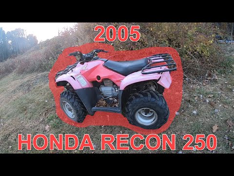 Видео: Тестирование абсолютно разбитого Honda Recon 250 2005 года выпуска