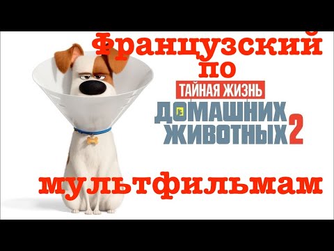 Видео: Реальный Французский по мультфильмам.Тайная жизнь домашних животных 2. Comme des bêtes 2