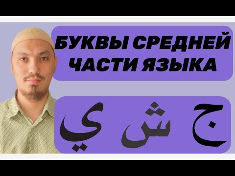 Видео: МАХРАДЖ ДЖИМ (ج), ЩИН (ش), ЙА (ي) | БУКВЫ СРЕДНЕЙ ЧАСТИ ЯЗЫКА