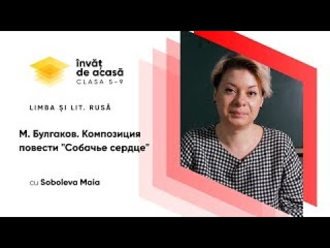 Видео: 9й класс; Русский язык и литература; "М. Булгаков. Композиция повести "Собачье сердце".