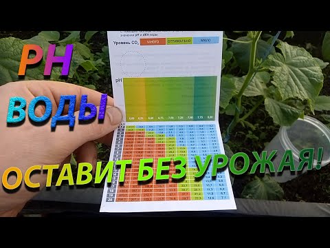 Видео: Не растут огурцы зимой!