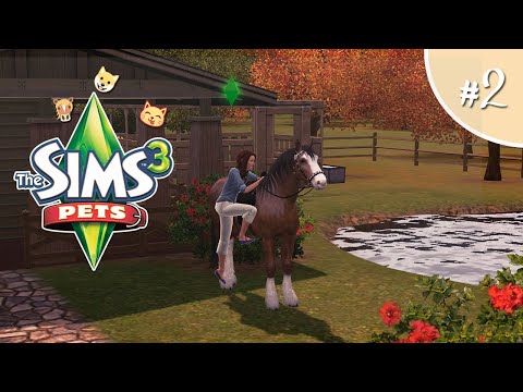 Видео: The Sims 3 ПИТОМЦЫ #2 Бренди
