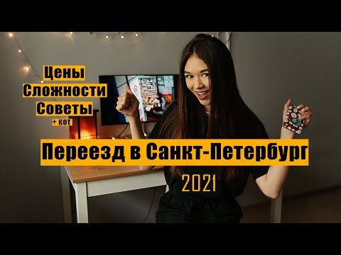 Видео: Переезд в СПБ с Дальнего Востока с котом. Сколько стоит, трудности переезда, советы