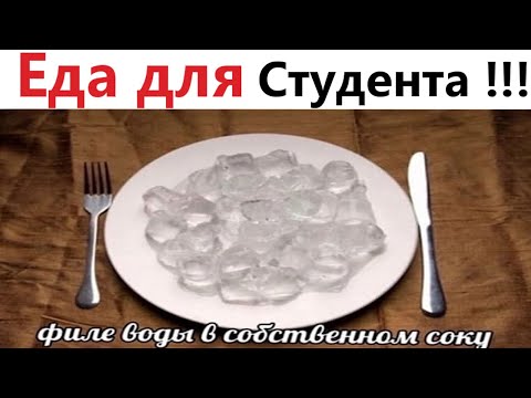 Видео: ПРИКОЛЫ! ГОТОВИМ ЕДУ ДЛЯ СТУДЕНТА!!! Улетные МЕМЫ, смешные истории, ШУТКИ от Доми шоу