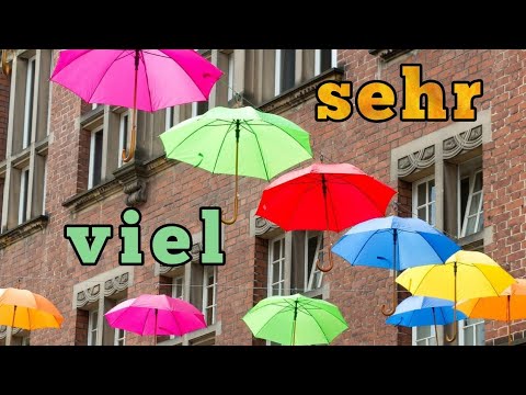 Видео: Разлики между VIEL и SEHR