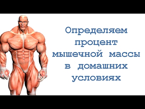 Видео: Определяем процент мышечной массы в домашних условиях