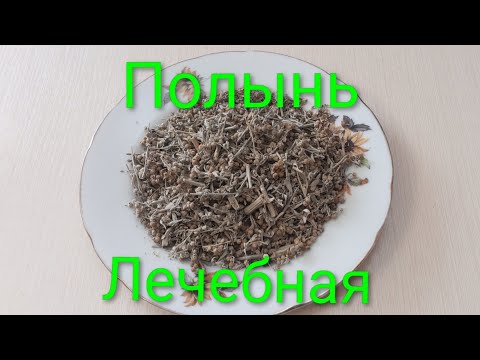 Видео: Как заваривать полынь.