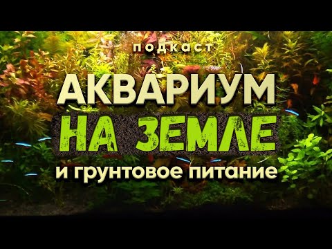 Видео: Аквариум на земле и грунтовое питание. Подкаст с А. Ершовым