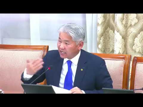 Видео: Б.Бейсен: Нийт 27 шийдвэрийн 163 заалтын биелэлт 6.9 хувьтай гэж дүгнэгдсэн байна. 