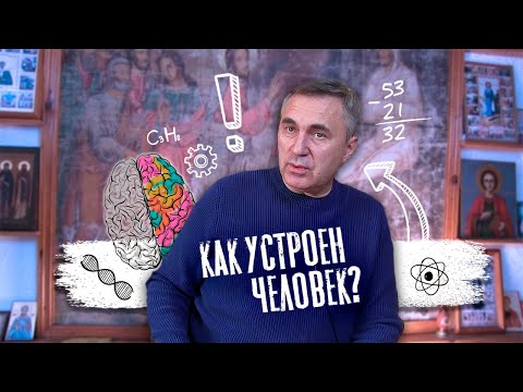 Видео: Как устроен человек / доктор Боровских