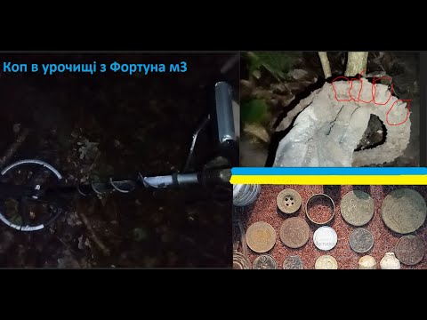 Видео: 🌲🦉🌳Коп з Фортуна м3🌳🦉🌲 (Епізод 13 Урочище за містом 3 в 1 відео 14годин копу)🌒