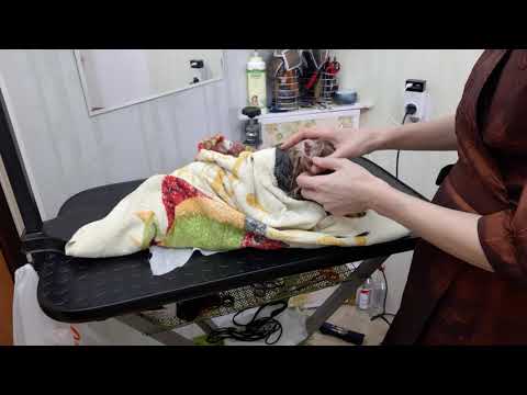 Видео: Про уши.