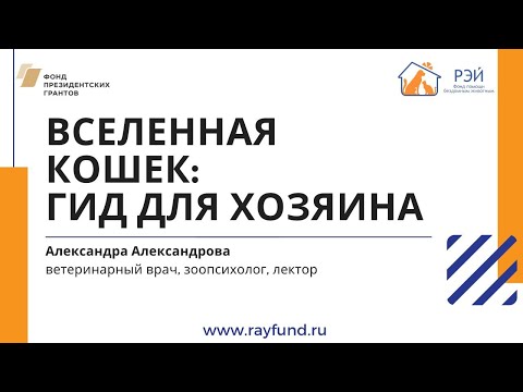 Видео: Вселенная кошек: гид для хозяина. Лекция Александры Александровой