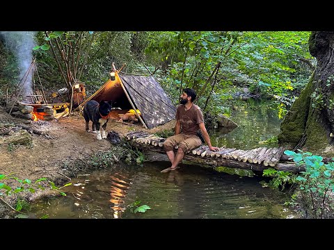 Видео: 3-ДНЕВНЫЙ КЕМПИНГ на выживание в одиночку; Поймай и приготовь, примитивная рыбалка. . Бушкрафт Приют