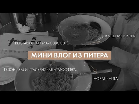 Видео: Мини влог из Питера | гедонизм, современное искусство, эстетика города