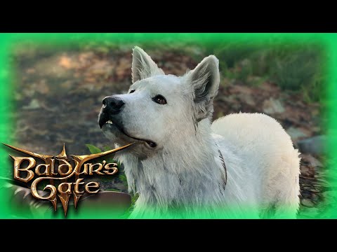 Видео: НОВЫЙ ДРУГ - Baldur's Gate 3 #3 (без комм)