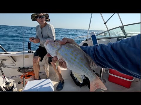 Видео: We found the best fishing spot!!!Мы нашли лучшее место для рыбалки!!!