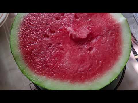 Видео: Бессемянный Арбуз #1.