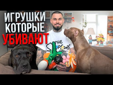 Видео: Игрушки для собак! Какие лучше выбрать?