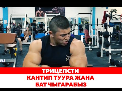 Видео: ТРИЦЕПСти туура жана Үй шартында кантип чыгарабыз - Келдибек Атайбеков