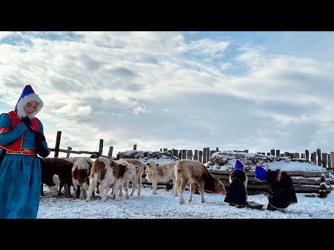 Видео: Буриад малчин айлын нэг өдөр | Mongolian Buryat life ASMR (wind, birds sounds)