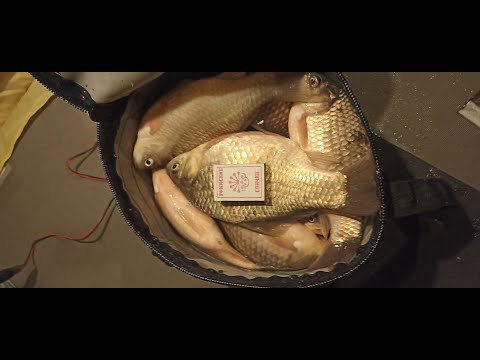 Видео: Открытие зимнего сезона 25.11.2024 на Уелгах. #рыбак174 #рыбалка #fishing #зимняярыбалка #уелги #топ