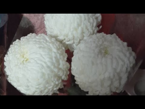 Видео: Будет Ли Встреча☝️