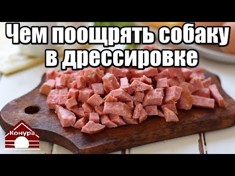 Видео: 194. КАКОЕ ЛАКОМСТВО ВЫБРАТЬ ДЛЯ ДРЕССИРОВКИ. КАК РАБОТАТЬ С ЛАКОМСТВОМ